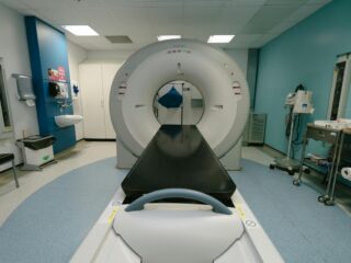 pexels jo mcnamara 185550273 11288390